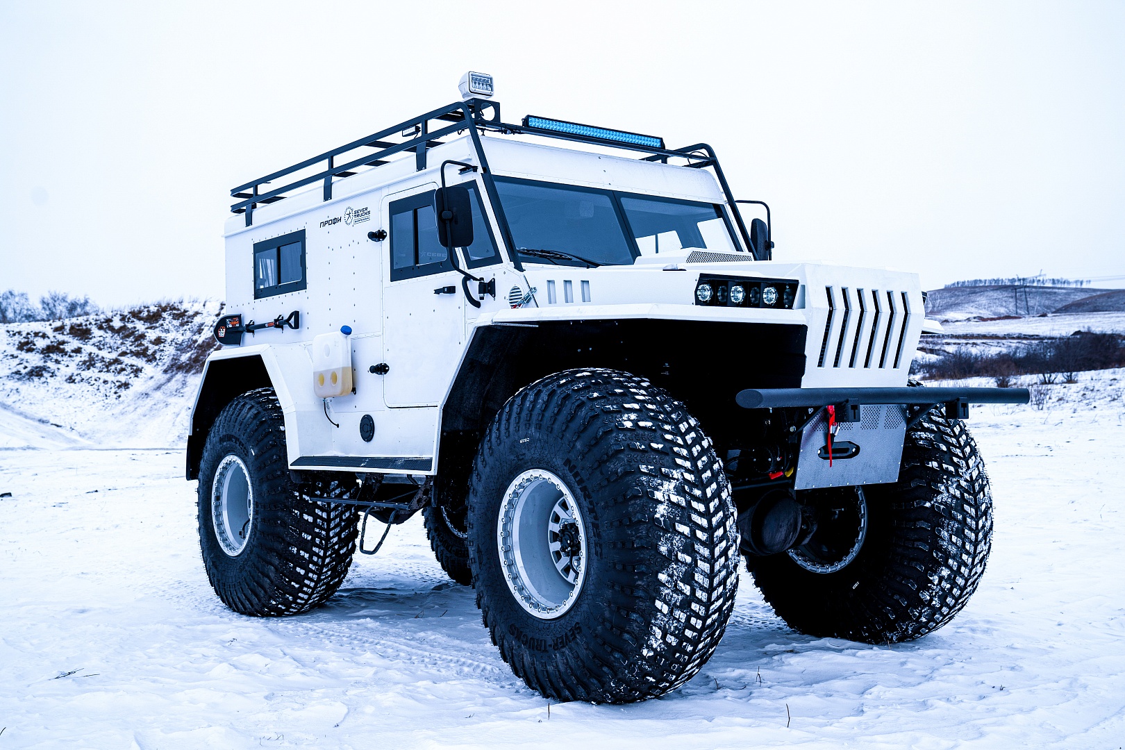 Иллюстрация Профи